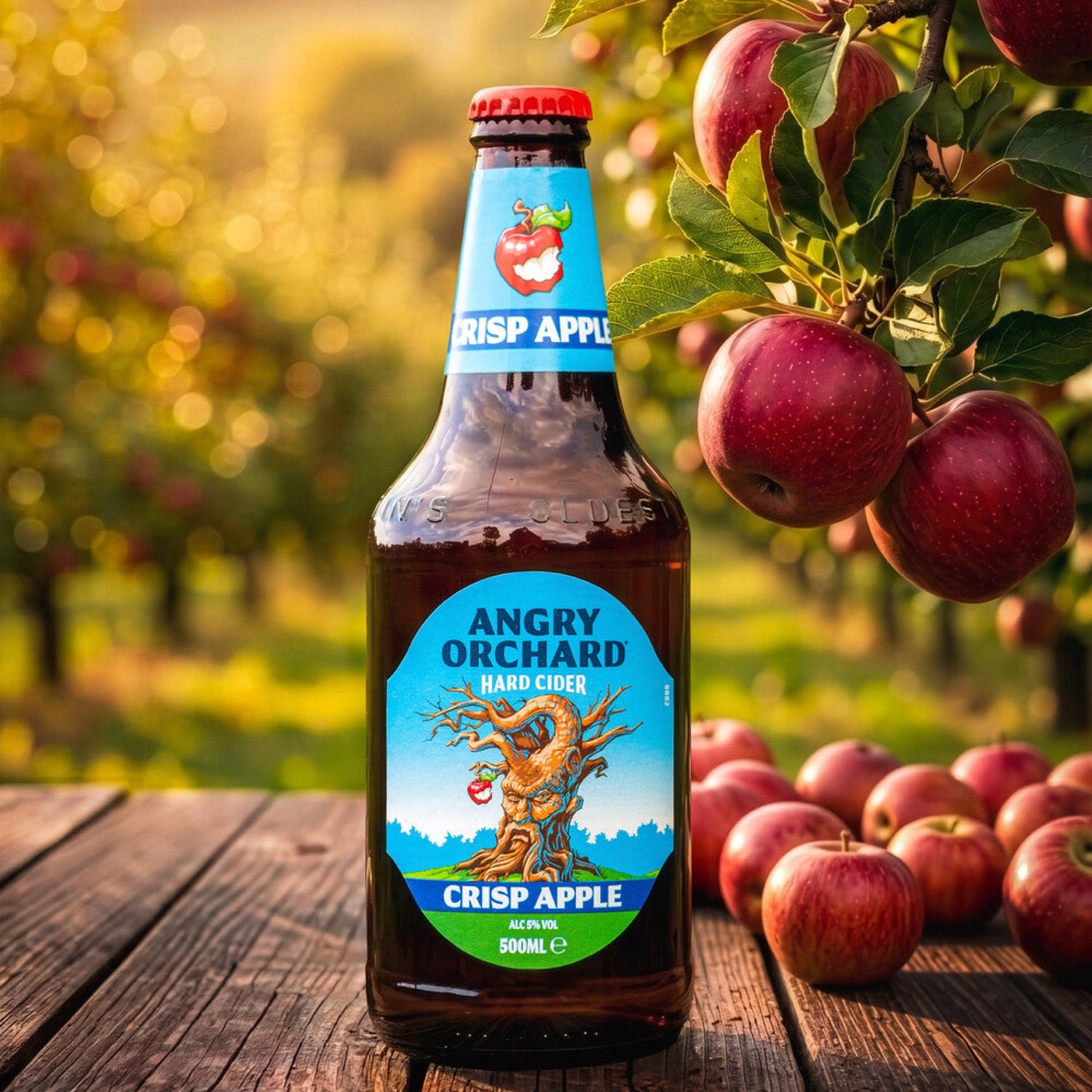 Cider
